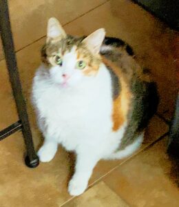 Missy